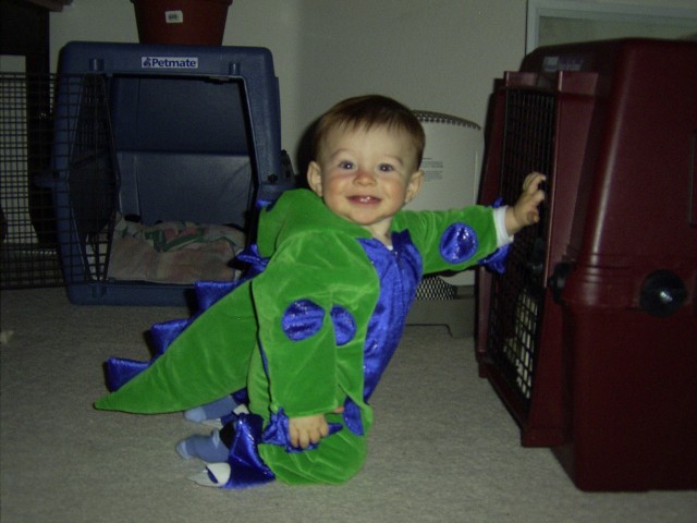 The Happy Dragon